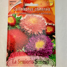 Load image into Gallery viewer, FL509 - ASTER PRINCESS SEEDS