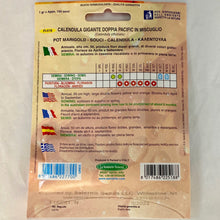 Load image into Gallery viewer, FL518 - MARIGOLD SEEDS