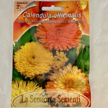 Load image into Gallery viewer, FL518 - MARIGOLD SEEDS