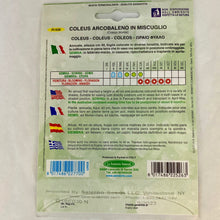 Load image into Gallery viewer, FL526 - COLEUS SEEDS