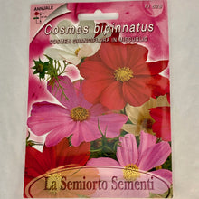 Load image into Gallery viewer, FL528 - COSMOS SEEDS