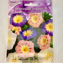 Load image into Gallery viewer, FL530 - WILD MORNING GLORY SEEDS