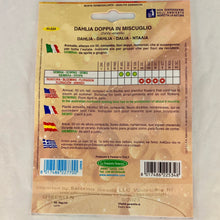 Load image into Gallery viewer, FL534 - DOUBLE DAHLIA SEEDS