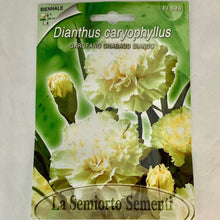 Load image into Gallery viewer, FL548 - WHITE CARNATION SEEDS