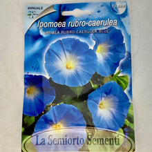 Load image into Gallery viewer, FL566 - BLUE MORNING GLORY SEEDS