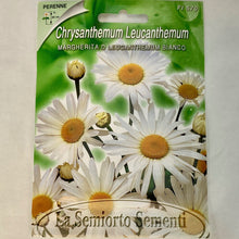 Load image into Gallery viewer, FL570 - WHITE DAISY SEEDS