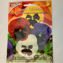Load image into Gallery viewer, FL576 - PANSIES SEEDS