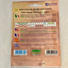 Load image into Gallery viewer, FL580 - GIANT RED PANSY SEEDS