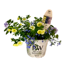 Load image into Gallery viewer, Proven Winners - Recipe - Neptune