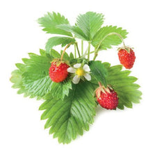 Load image into Gallery viewer, Strawberry Hanging Basket
