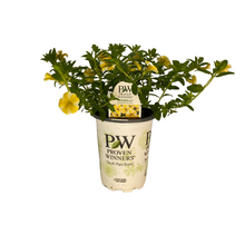 Load image into Gallery viewer, Proven Winners - Calibrachoa - Superbells -Lemon Slice