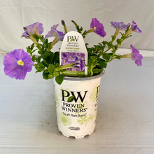 Load image into Gallery viewer, Proven Winners - Supertunia - Blue Skies