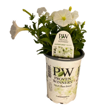 Load image into Gallery viewer, Proven Winners - Supertunia - Really Red