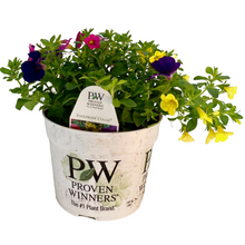 Load image into Gallery viewer, Proven Winners - Recipe - The North Shore