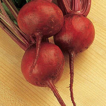 Load image into Gallery viewer, Beets Plant 4.5" Pot