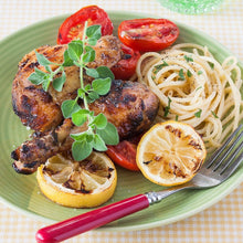 Load image into Gallery viewer, Oregano 4 Plant Cell Pack