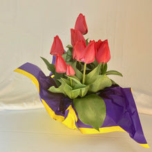 Load image into Gallery viewer, Tulip - Red 8” Pot