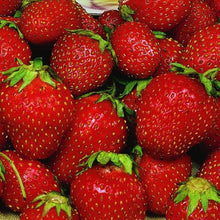 Load image into Gallery viewer, Strawberry Plant 3” Pot