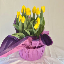 Load image into Gallery viewer, Tulip - Yellow 10” Pot