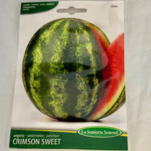 Load image into Gallery viewer, 04M - WATERMELON SUGAR BABY
