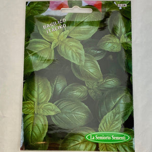 12 - BASIL CLASSIC SMOOTH LEAVES