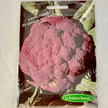 Load image into Gallery viewer, 50 - CAULIFLOWER VIOLET SEEDS
