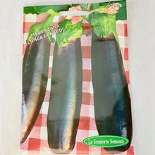 Load image into Gallery viewer, 244 - EGGPLANT LONG
