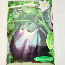Load image into Gallery viewer, 250 - FLORENTINE EGGPLANT
