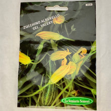 Load image into Gallery viewer, 386 - ZUCCHINI FLOWERS SEEDS
