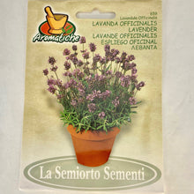 Load image into Gallery viewer, 659 - LAVENDAR SEEDS

