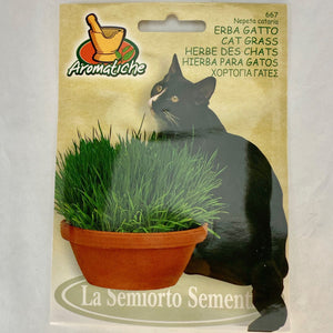 667 - CAT GRASS SEEDS