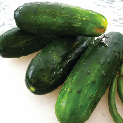 Savor - Herbs - Cucumber Fancipak