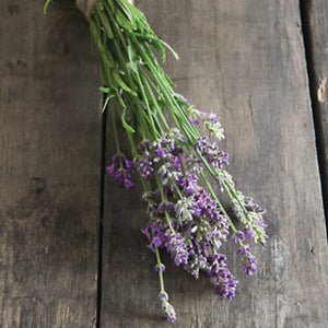 Savor - Herbs - Lavender Bee My Honey