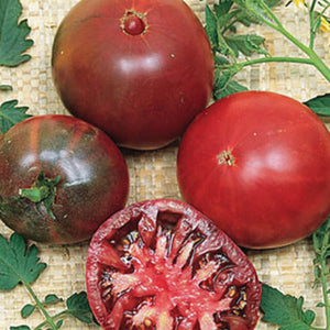 Savor - Herbs - Tomato Black Krim