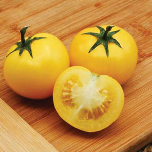 Savor - Herbs - Tomato Lemon Boy