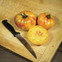 Savor - Herbs - Tomato Mr. Stripey