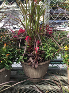 Large Fall Cask Planter- Light Brown Pot