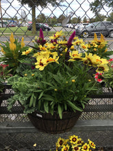 Load image into Gallery viewer, Round Fall Planter- Dark Brown Pot
