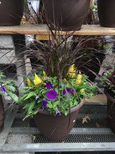Load image into Gallery viewer, Large Fall Planter- Plain Brown Pot
