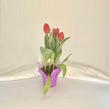 Load image into Gallery viewer, Tulip - Red 4” Pot
