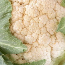 Load image into Gallery viewer, Cauliflower Plant 4.5” Pot
