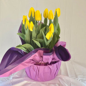 Tulip - Yellow 10” Pot